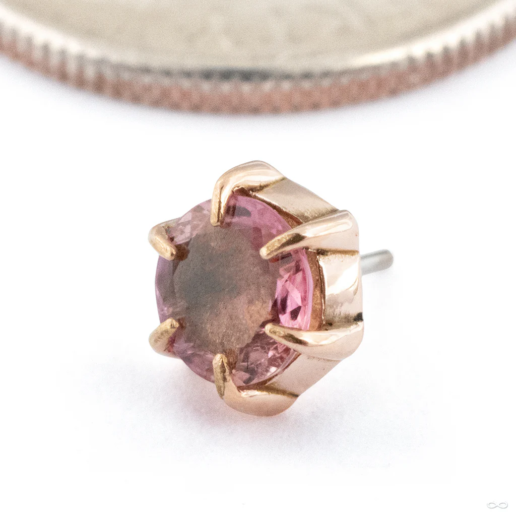 Illuminate Press-fit End in Gold from Maya Jewelry - Image 3
