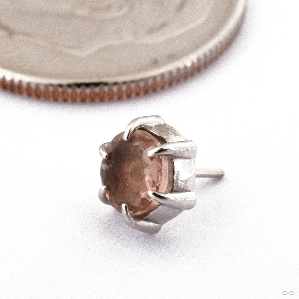 Illuminate Press-fit End in Gold from Maya Jewelry - Image 6