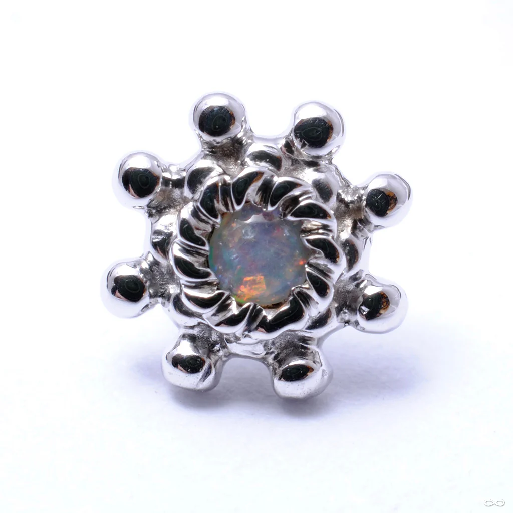 Indian Wheel Press-fit End in Gold from BVLA - Image 5