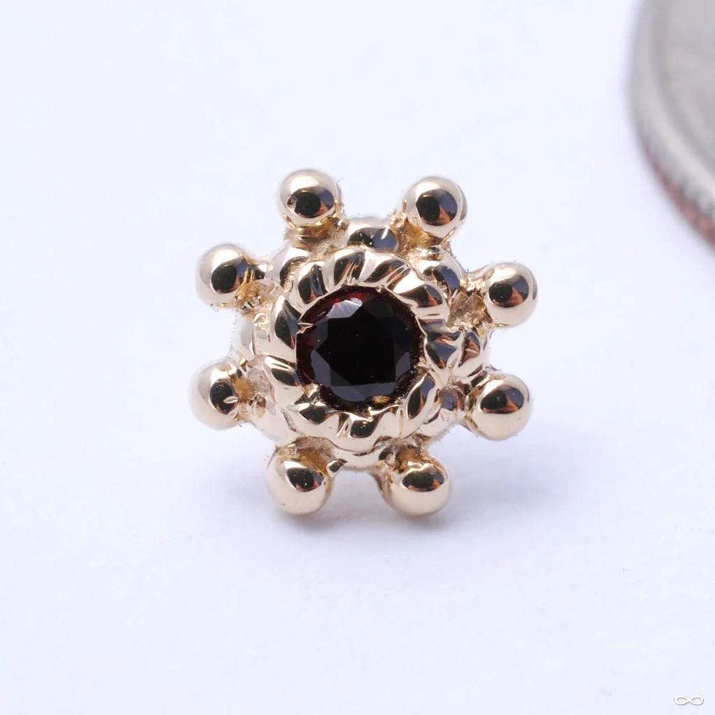 Indian Wheel Press-fit End in Gold from BVLA - Image 7