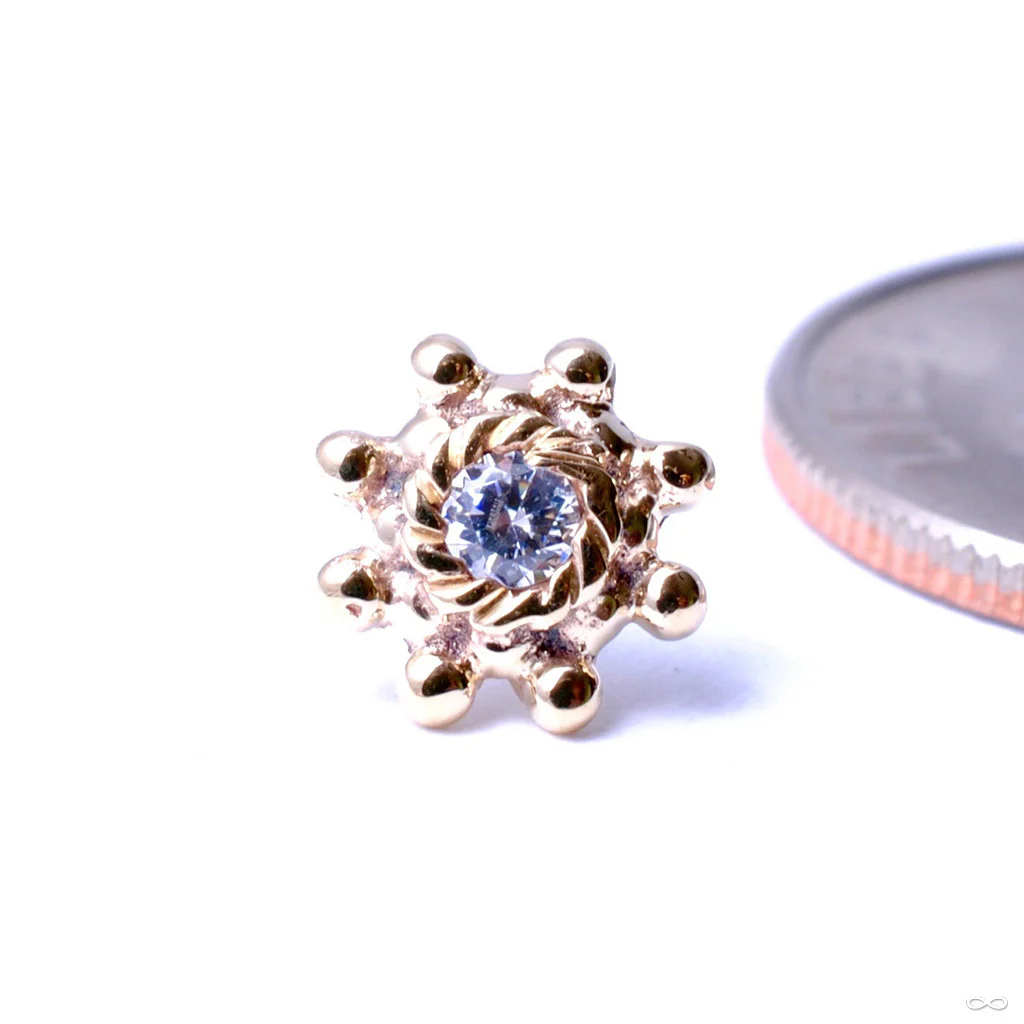 Indian Wheel Press-fit End in Gold from BVLA - Image 9