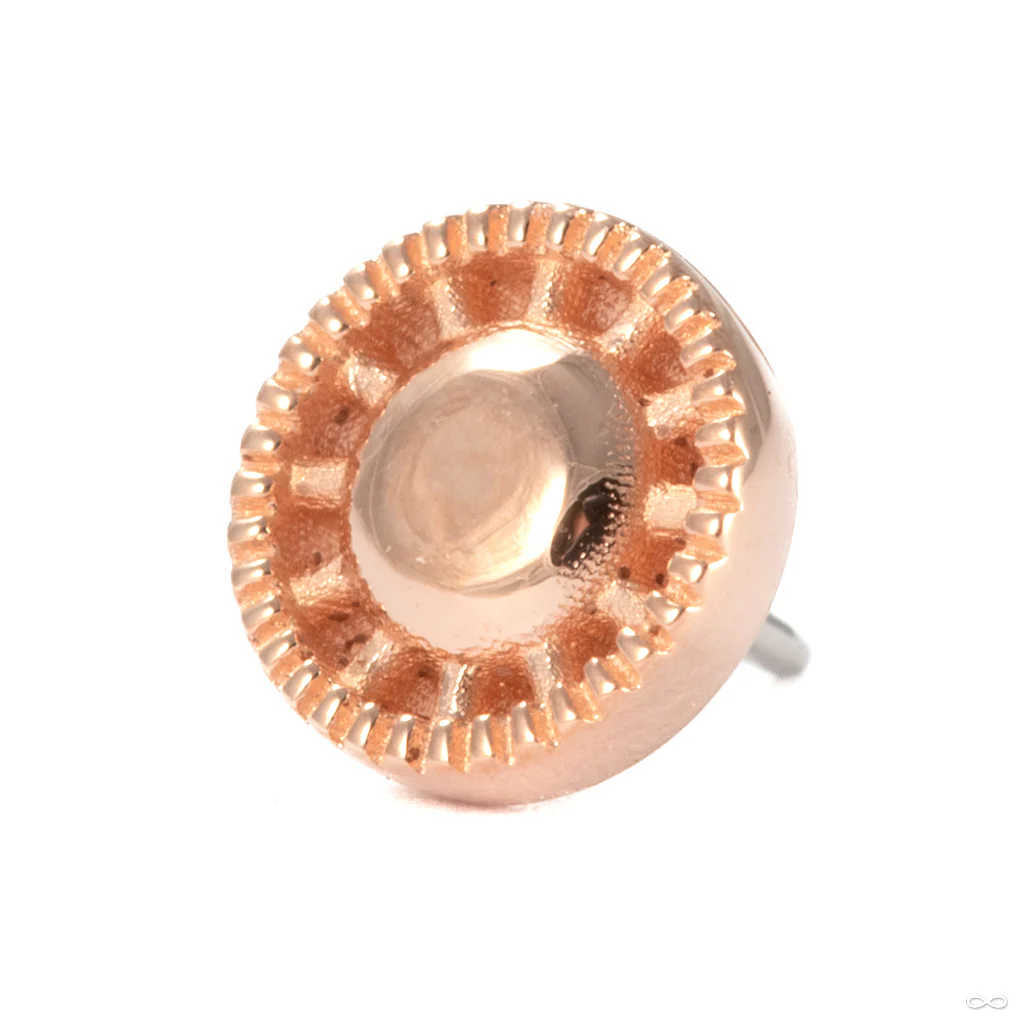 Kappa 12 Press-fit End in Gold from Tether Jewelry - Image 2