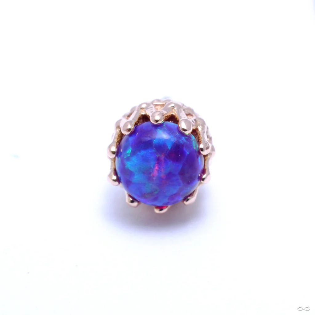 King Press-fit End in Gold from Anatometal - Image 20