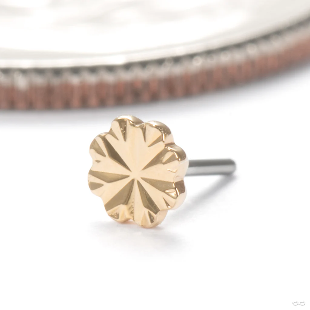 Laser Blossom Press-fit End in Gold from Junipurr Jewelry