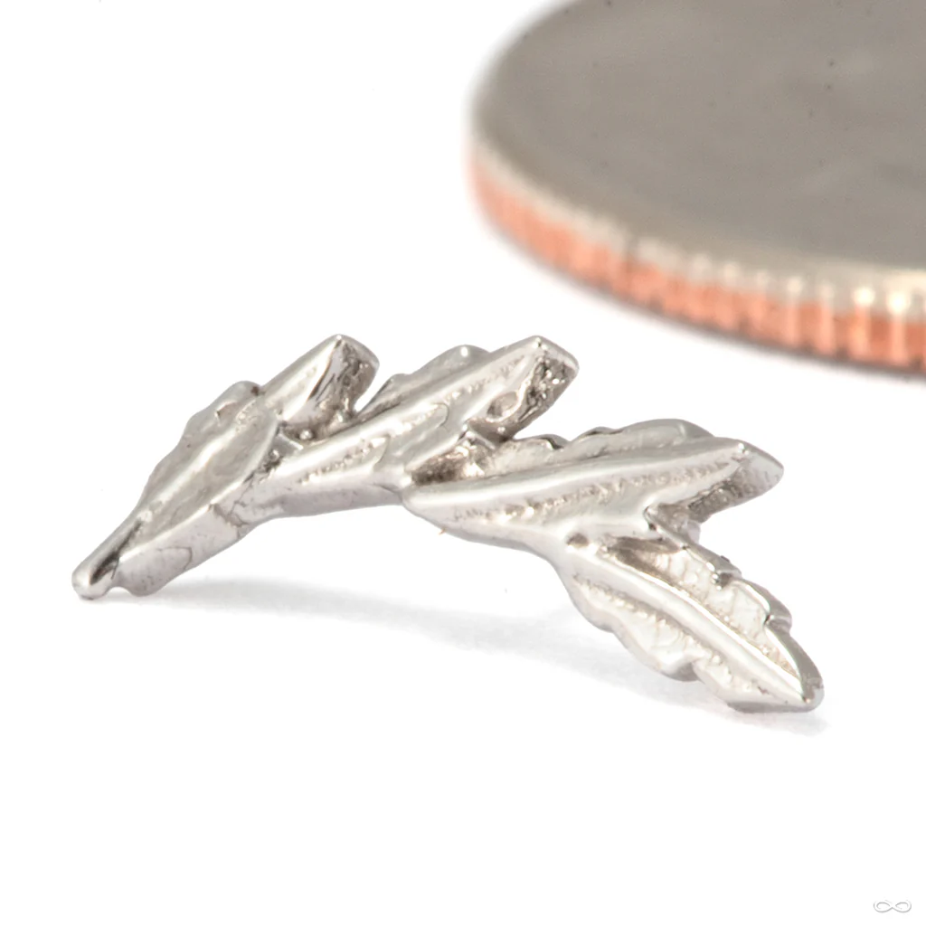 Laurel Press-fit End in Gold from Tawapa - Image 2