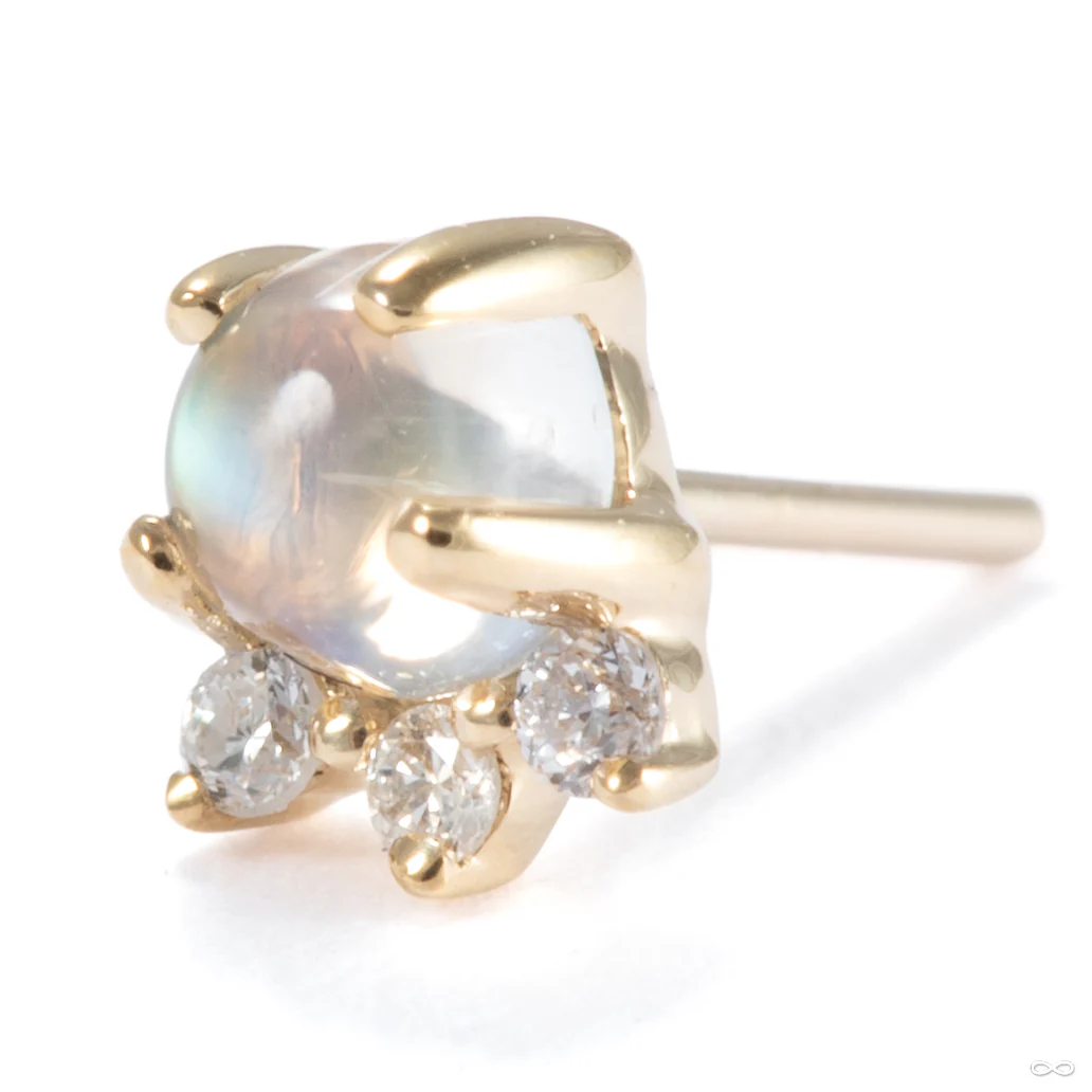 Leia Press-fit End in Gold from Modern Mood - Image 3