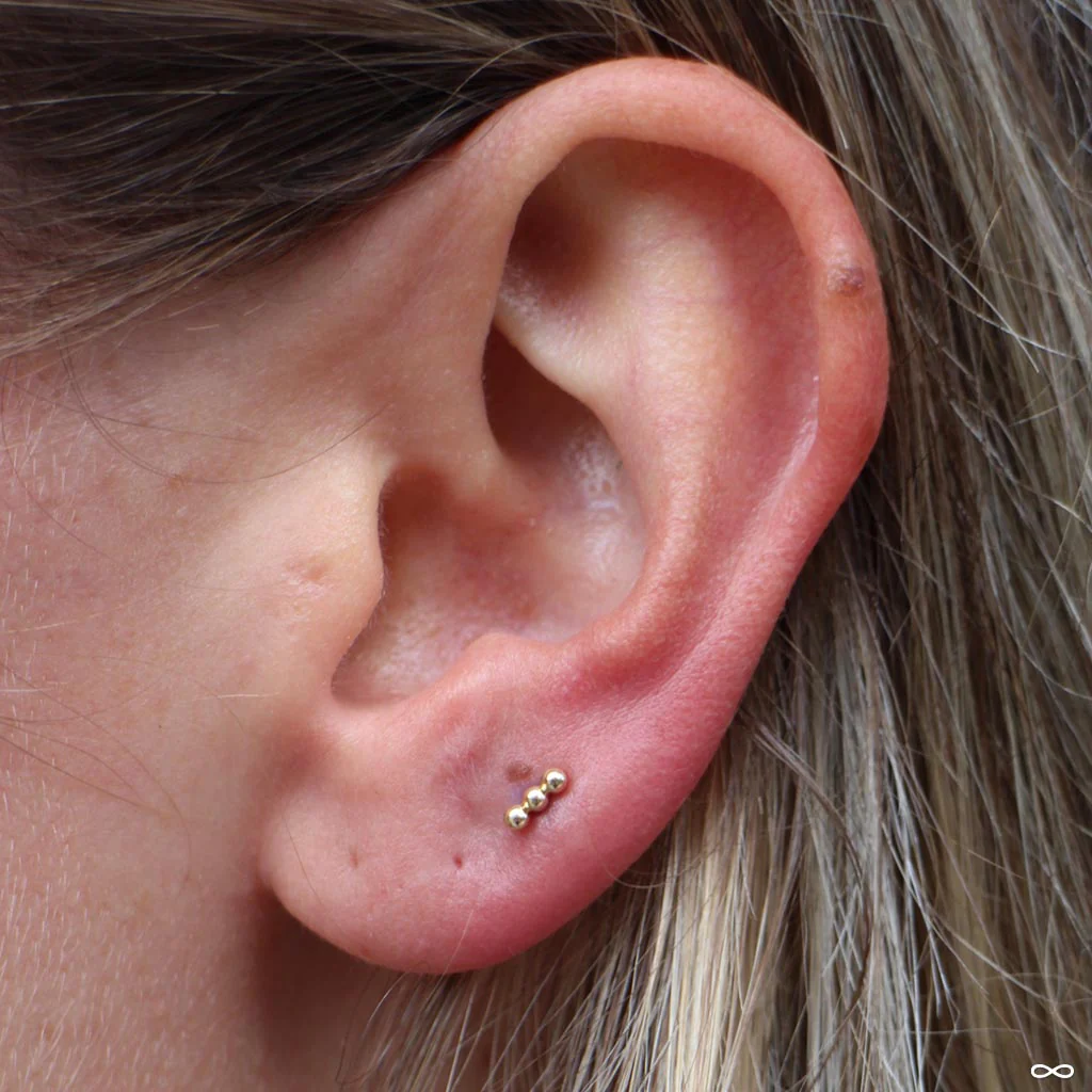 Linear Tri Bead Press-fit End in Gold from BVLA - Image 5