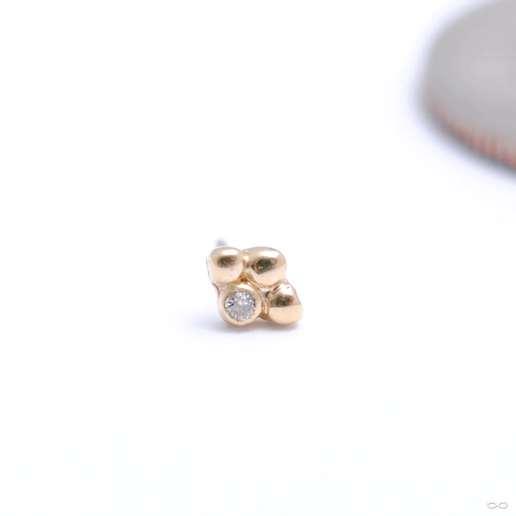 Little Secret 4 Bead Press-fit End in Gold from Pupil Hall - Image 3
