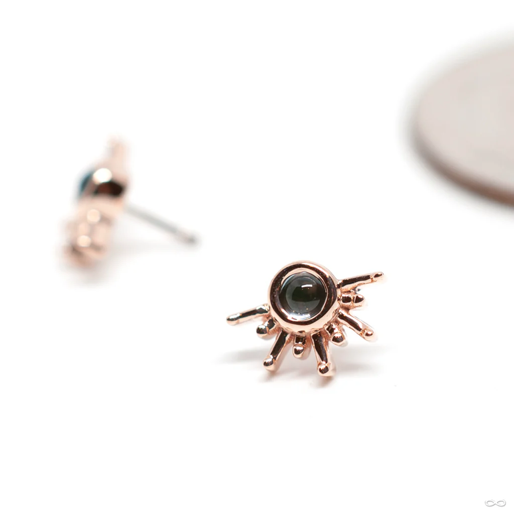 Live To Tell Press-fit End in Gold from BVLA - Image 3
