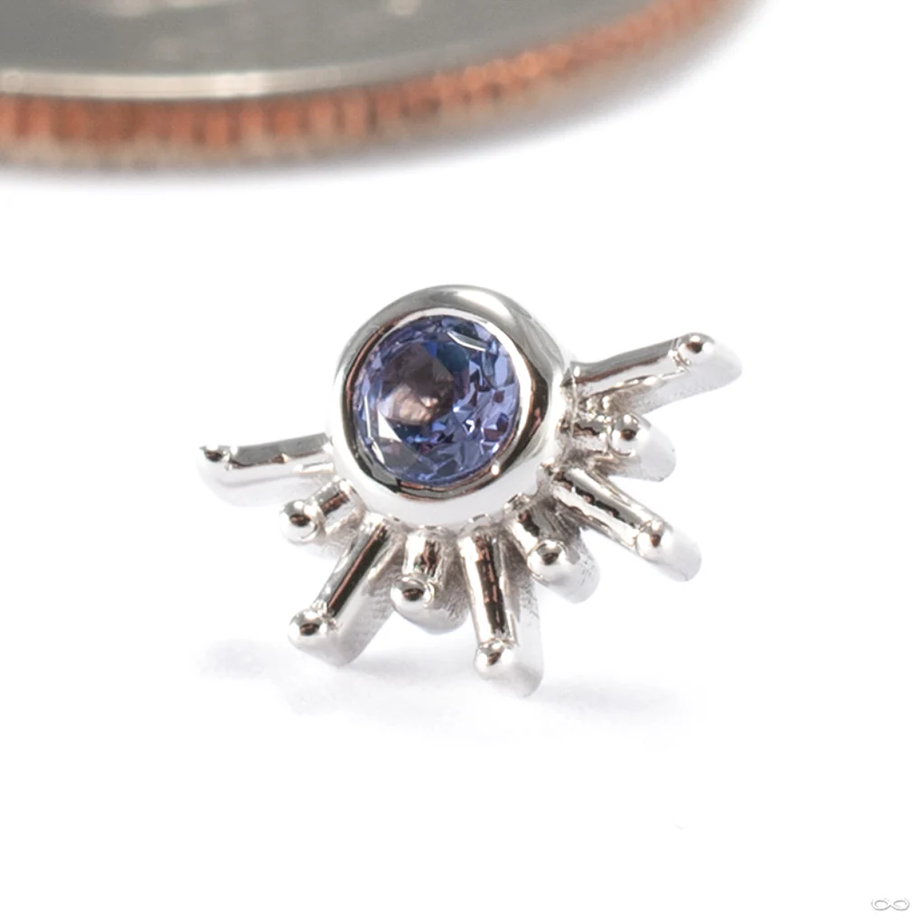 Live To Tell Press-fit End in Gold from BVLA - Image 5