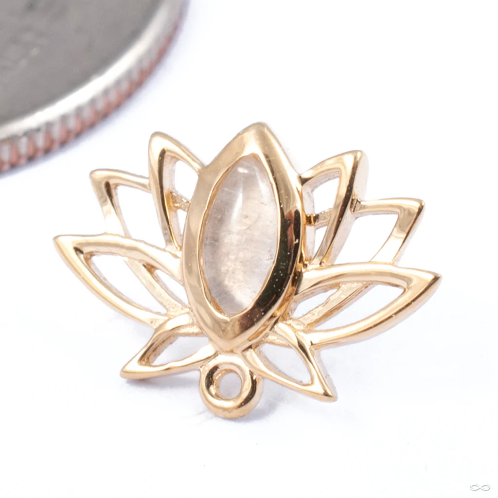 Lotus Press-fit End in Gold from Auris Jewellery - Image 3
