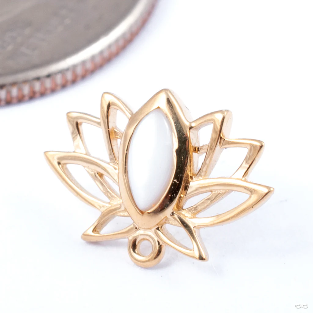 Lotus Press-fit End in Gold from Auris Jewellery - Image 4