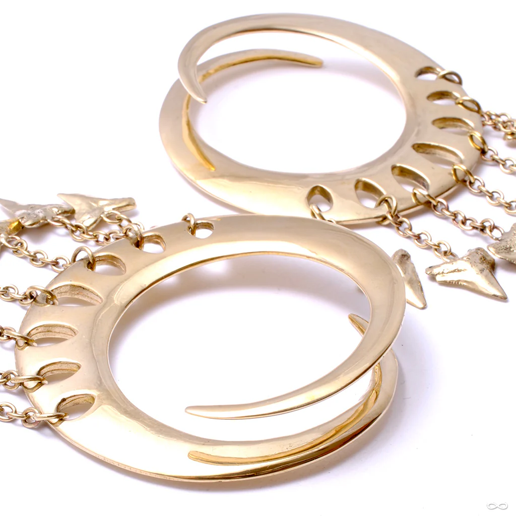 Lotus Shark Teeth Ear Weights from Diablo Organics - Image 3