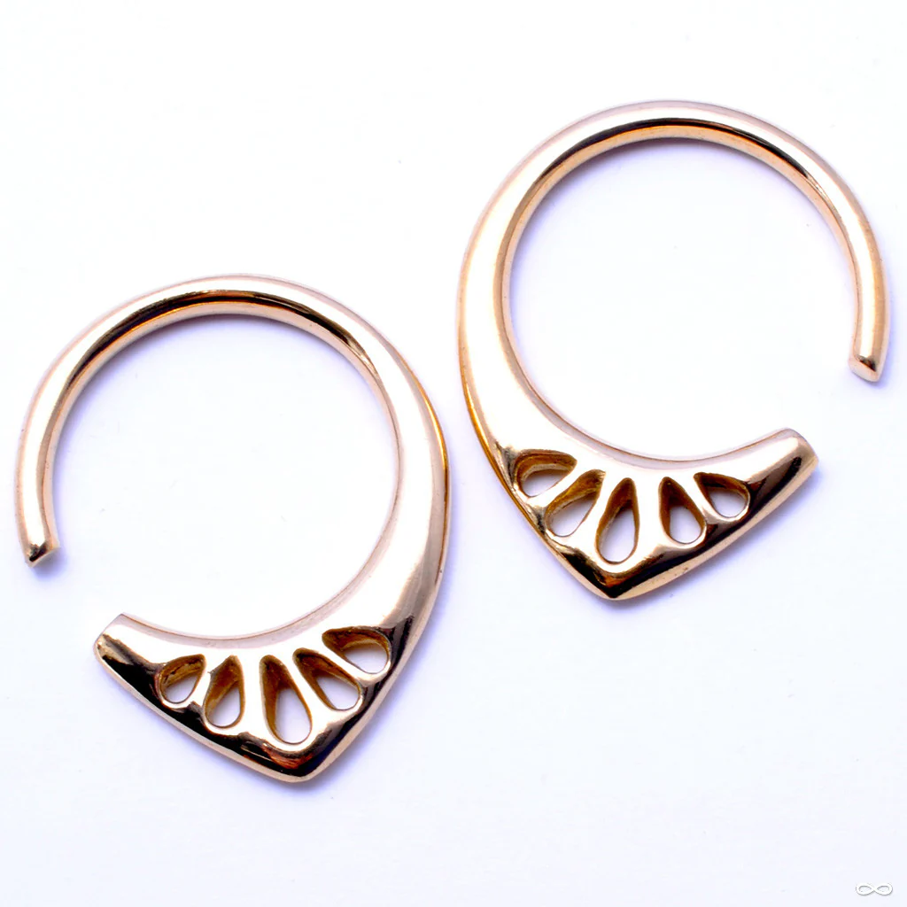 Lotus Weights in Brass from Diablo Organics