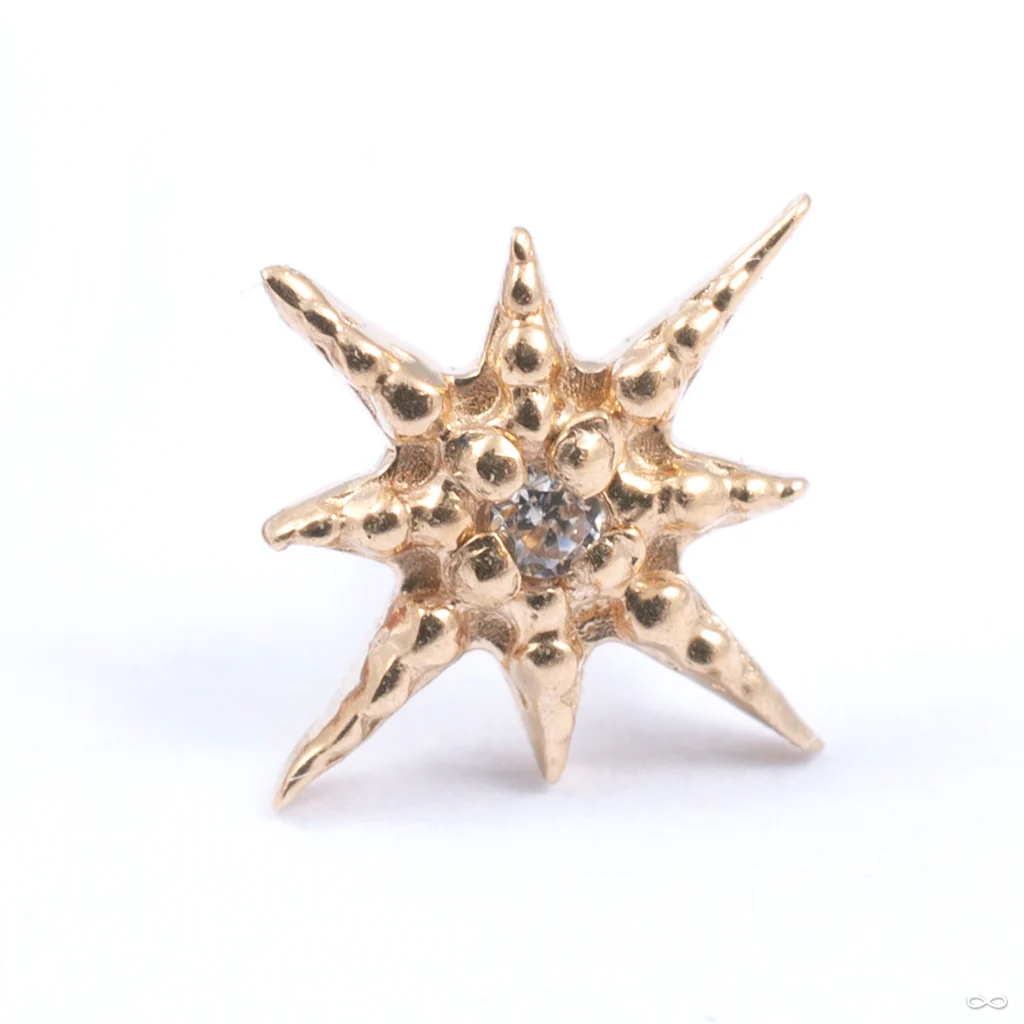 Lustre Press-fit End in Gold from Tawapa