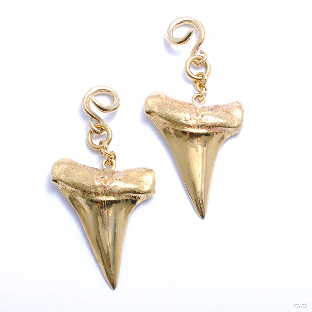 Mako Ear Weights from Diablo Organics