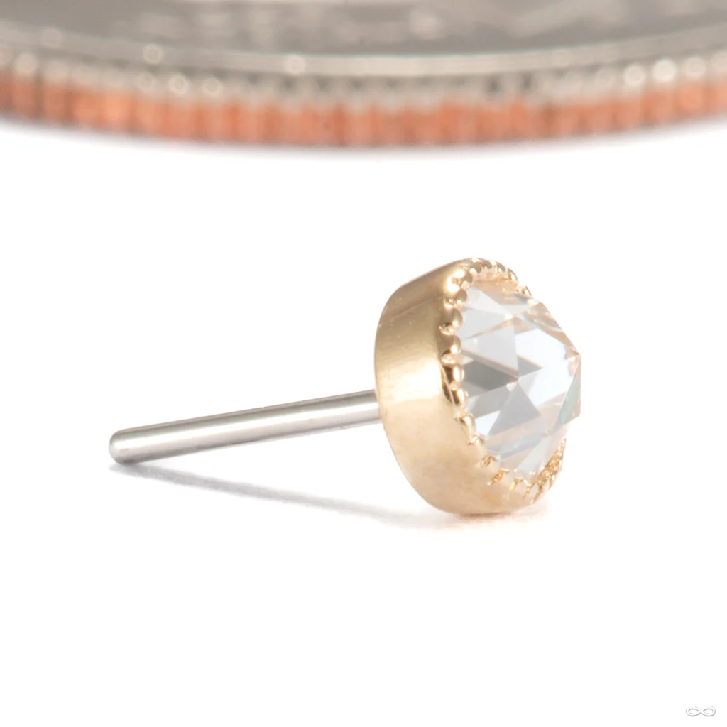 Marceline Press-fit End in Gold from Ember Body Jewelry - Image 5