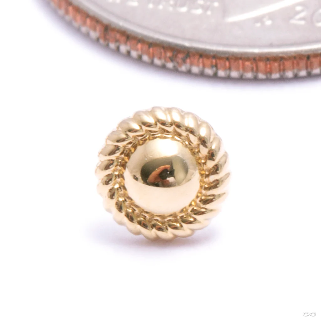 Marianna Press-fit End in Gold from Auris Jewellery - Image 2