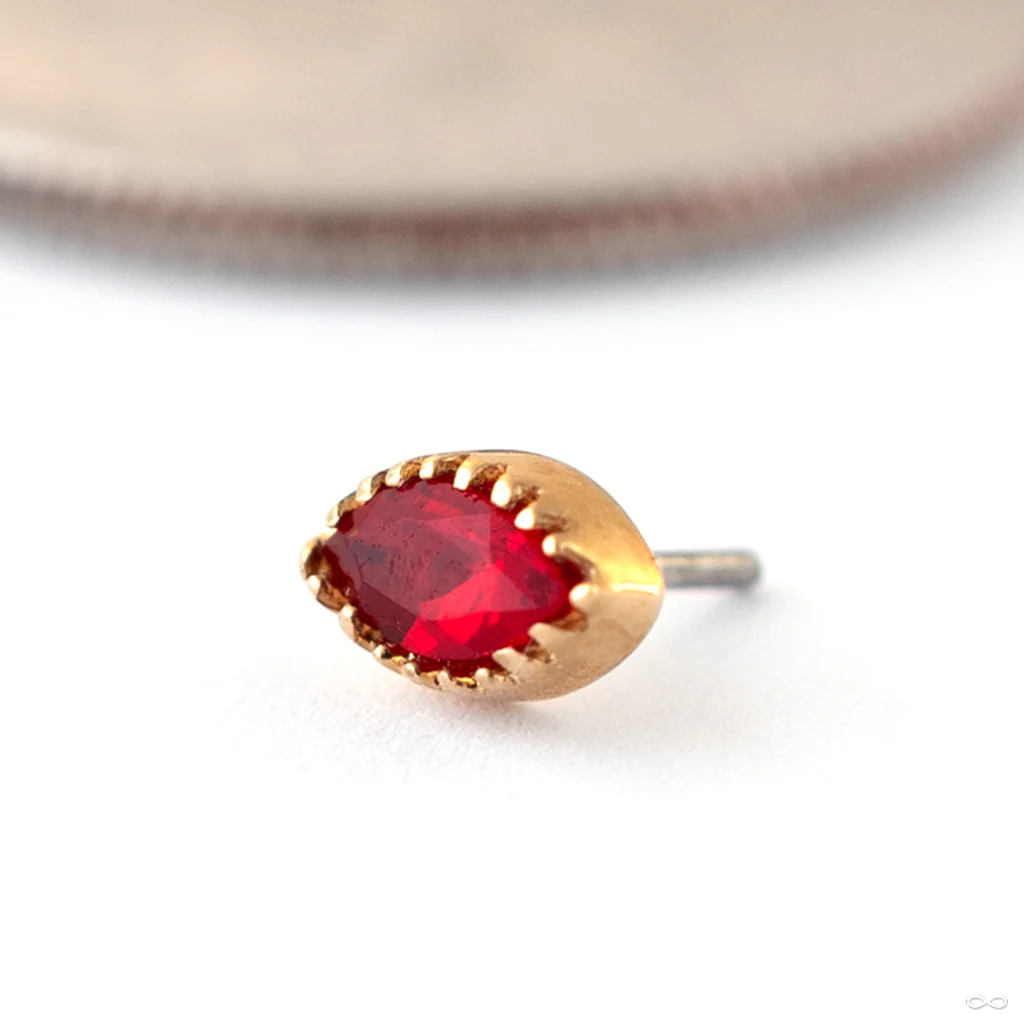 Marquis Scalloped Press-fit End in Gold from Tawapa - Image 5