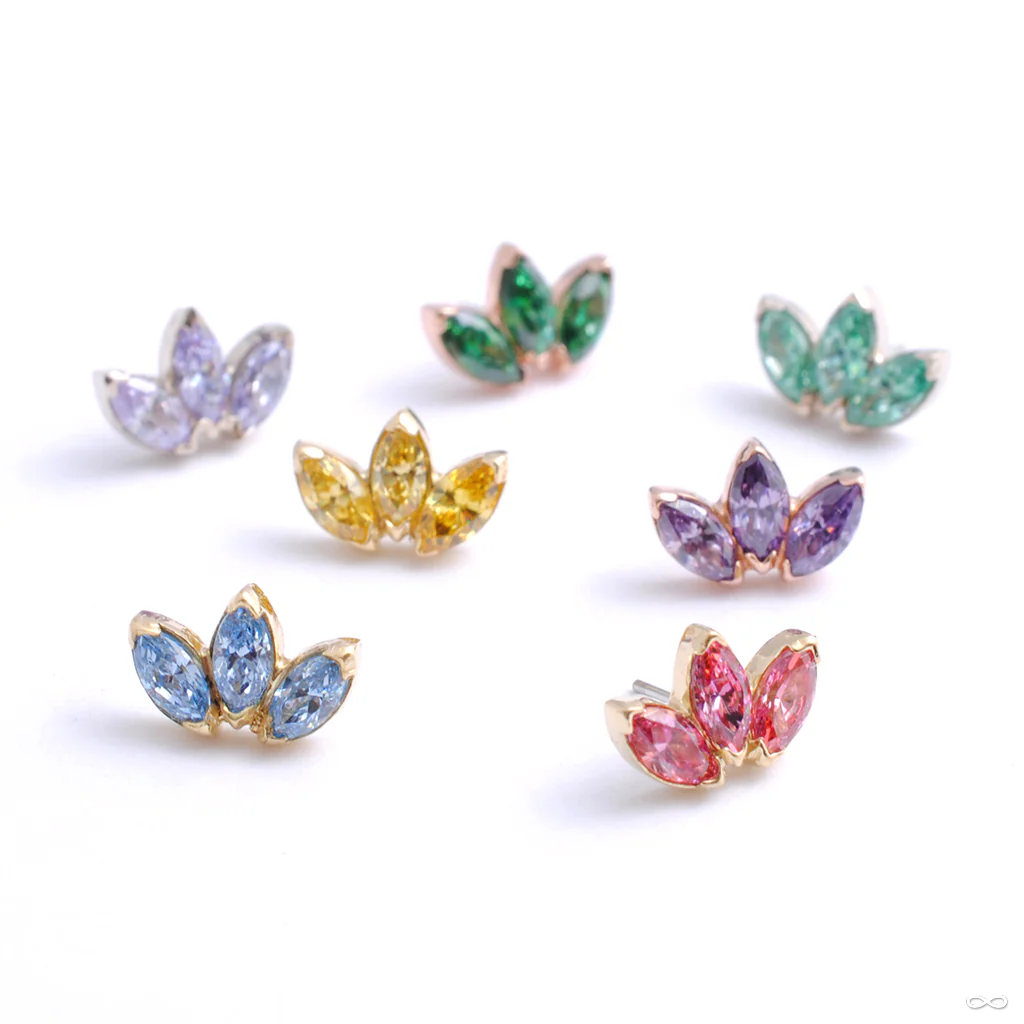 Marquise Fan Press-fit End in Gold from Anatometal