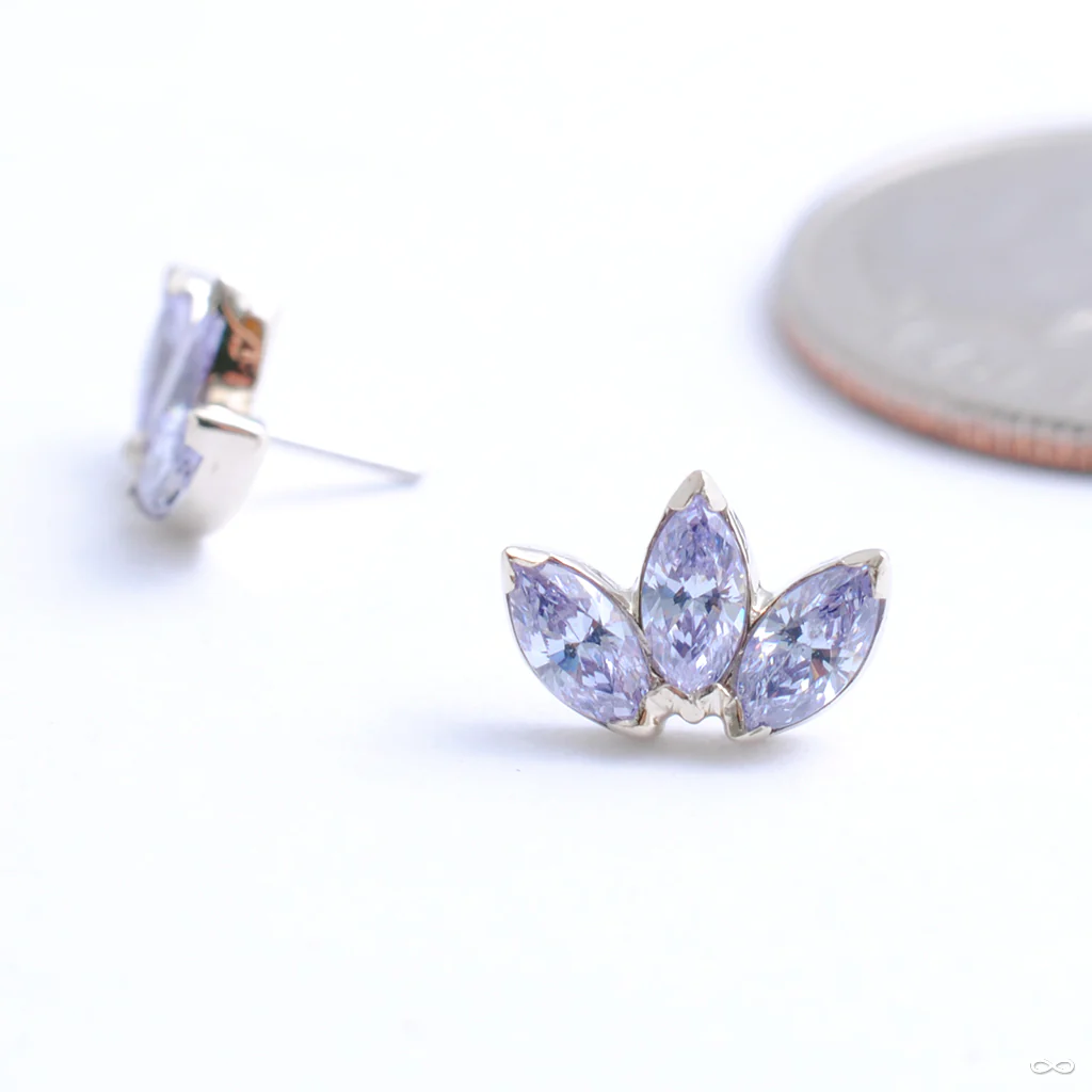 Marquise Fan Press-fit End in Gold from Anatometal - Image 4