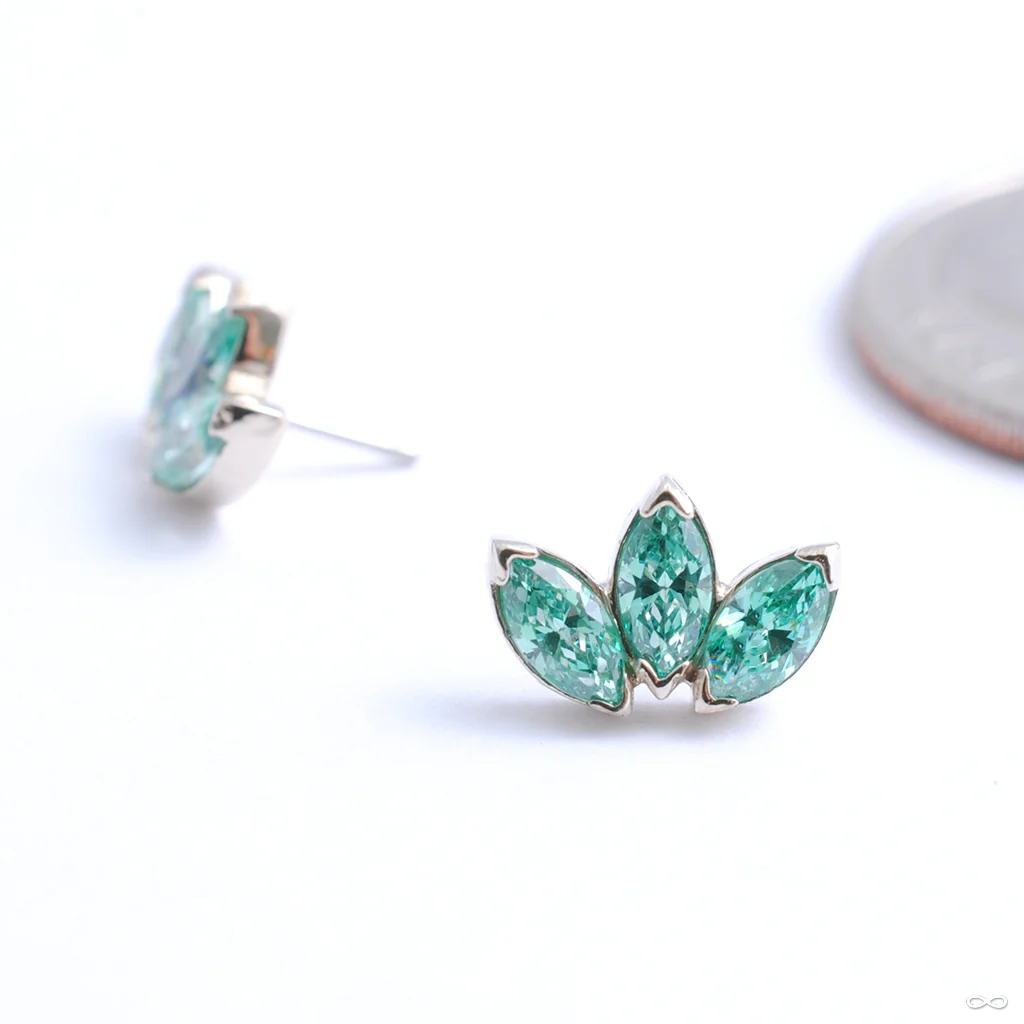 Marquise Fan Press-fit End in Gold from Anatometal - Image 5