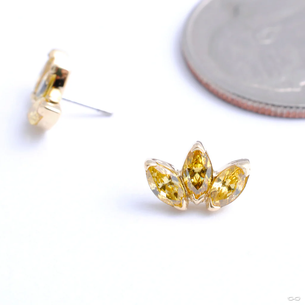 Marquise Fan Press-fit End in Gold from Anatometal - Image 6