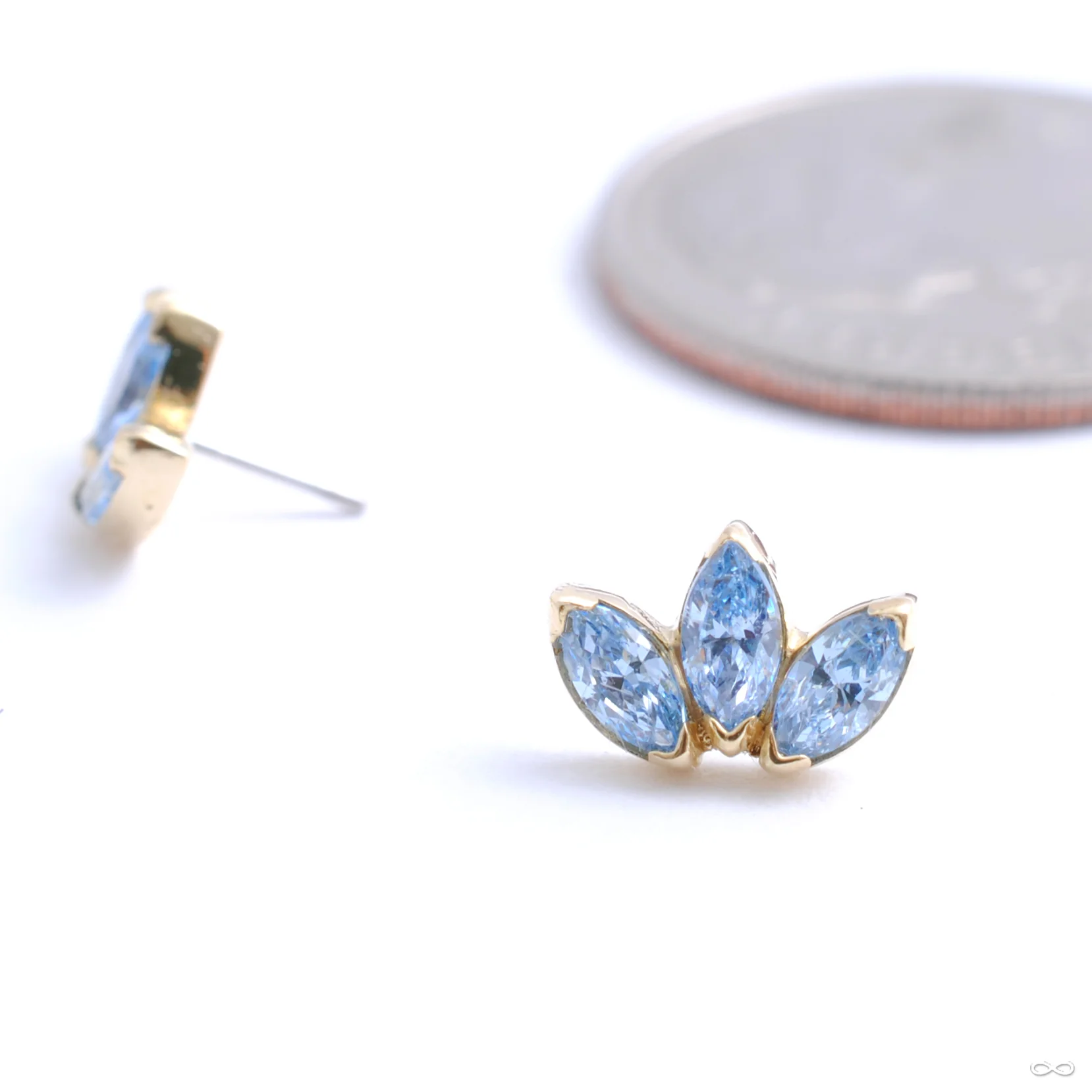 Marquise Fan Press-fit End in Gold from Anatometal - Image 7