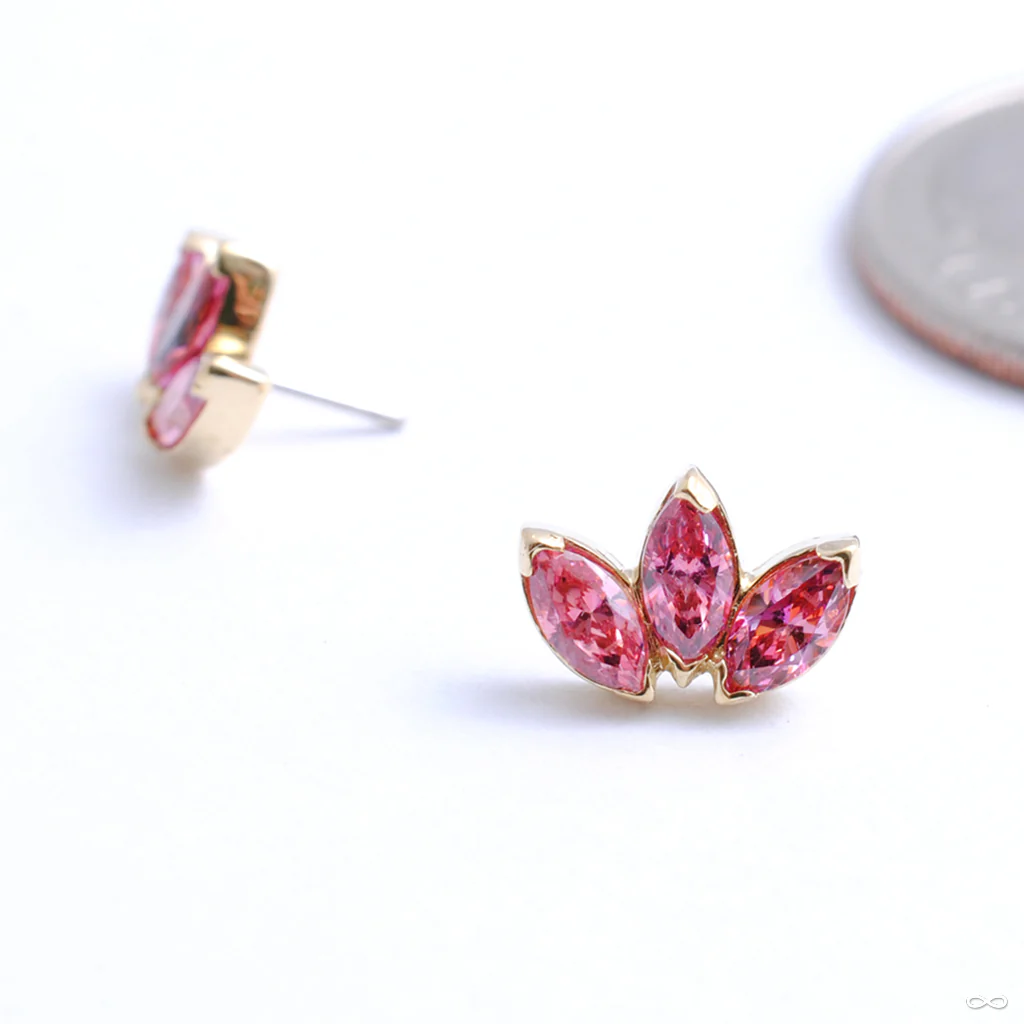 Marquise Fan Press-fit End in Gold from Anatometal - Image 8