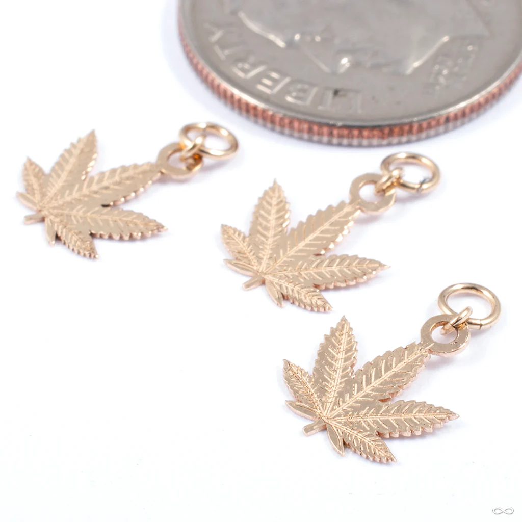 Mary Charm in Gold from Hialeah