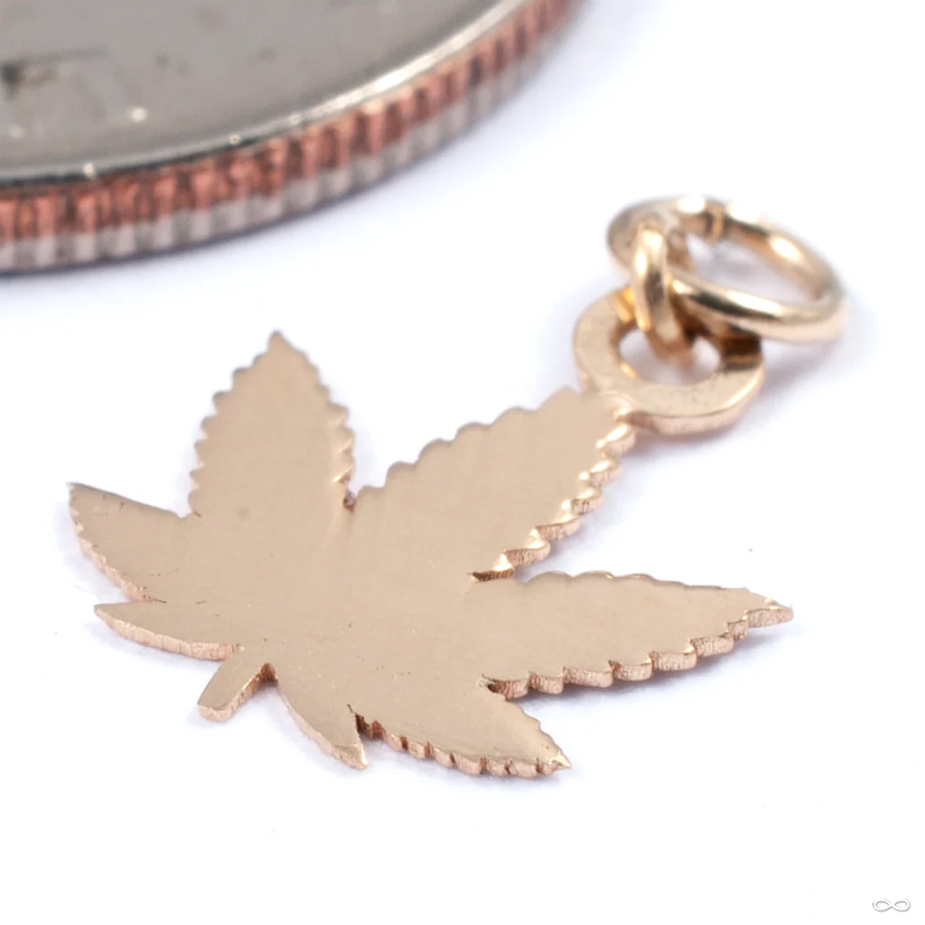 Mary Charm in Gold from Hialeah - Image 3