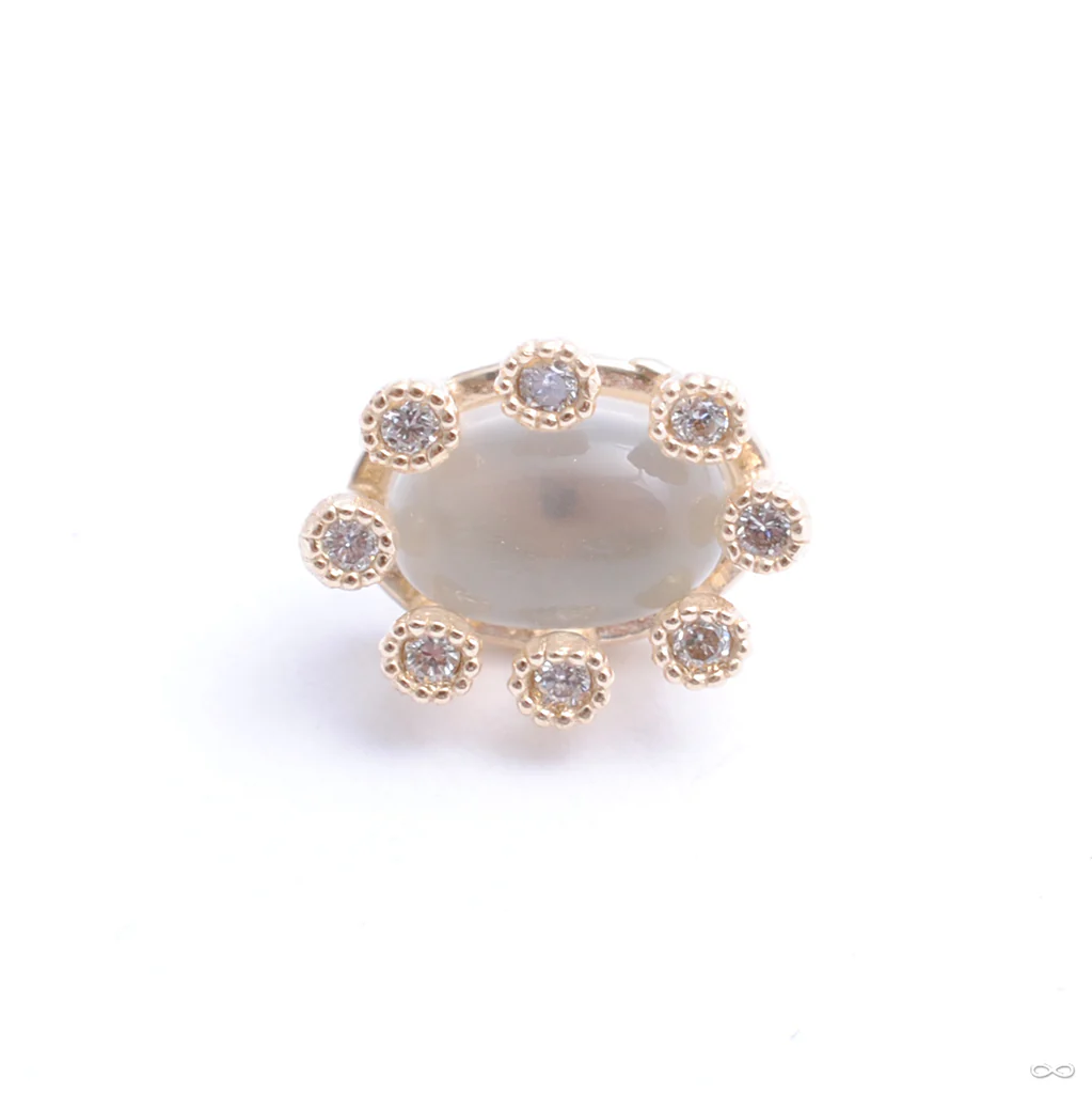 Maximalism Press-fit End in Gold from Pupil Hall - Image 4