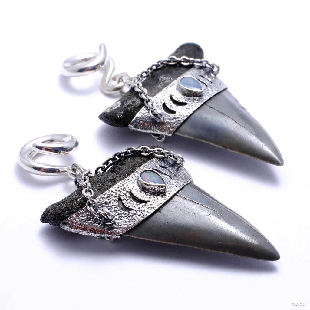 Megalodon Teeth with Opal from Diablo Organics - Image 2