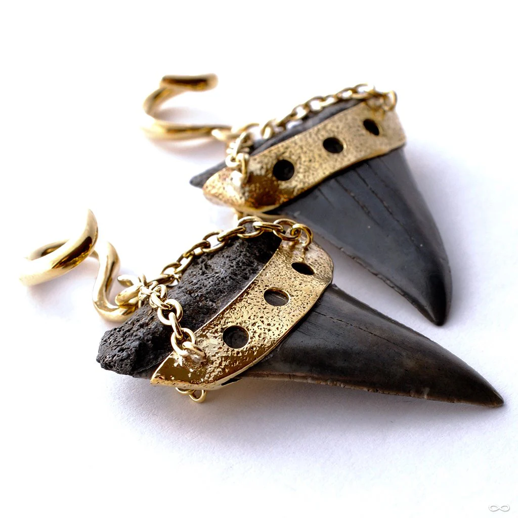 Megalodon Teeth with Triple Cutout from Diablo Organics - Image 2