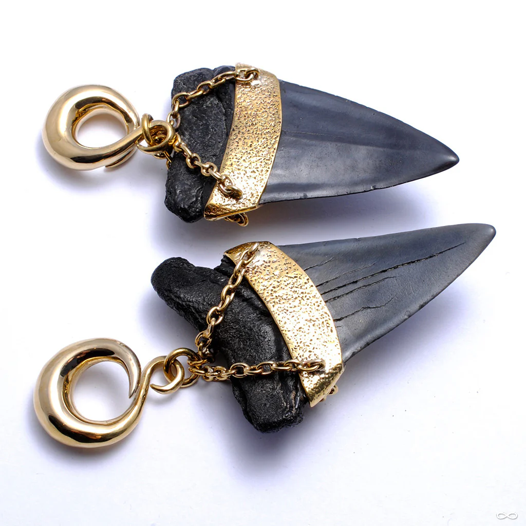 Megalodon Teeth with Turquoise from Diablo Organics - Image 3
