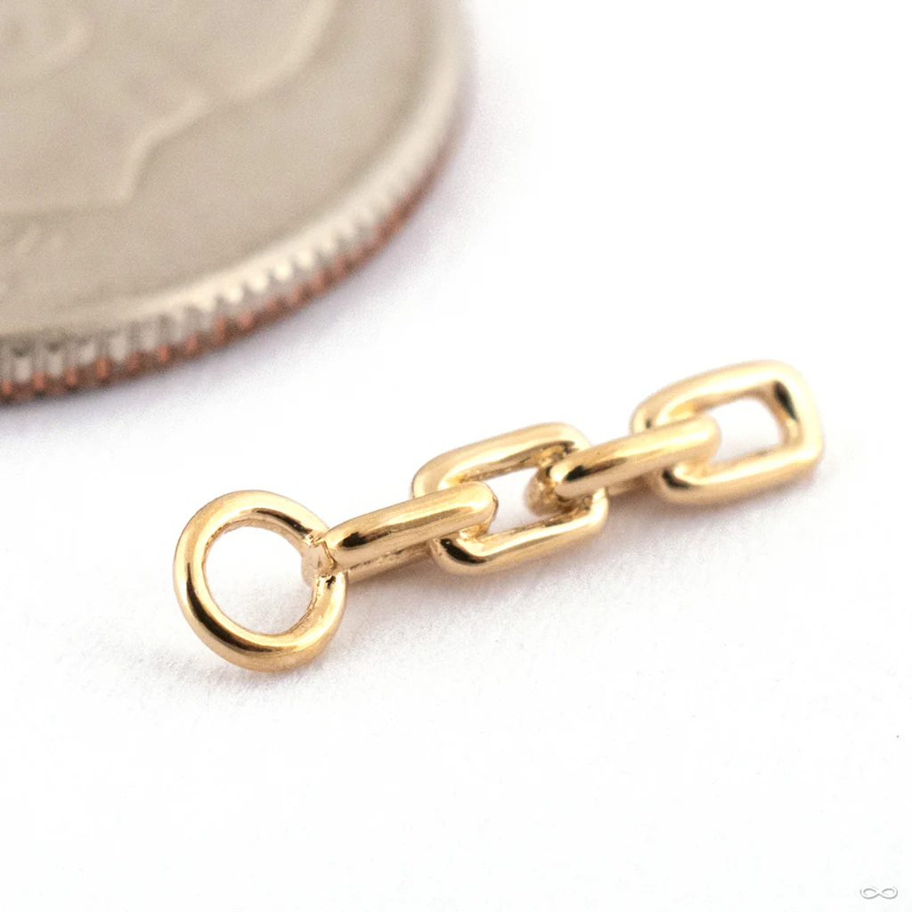 Memento Charm in Gold from Ember Body Jewelry - Image 5