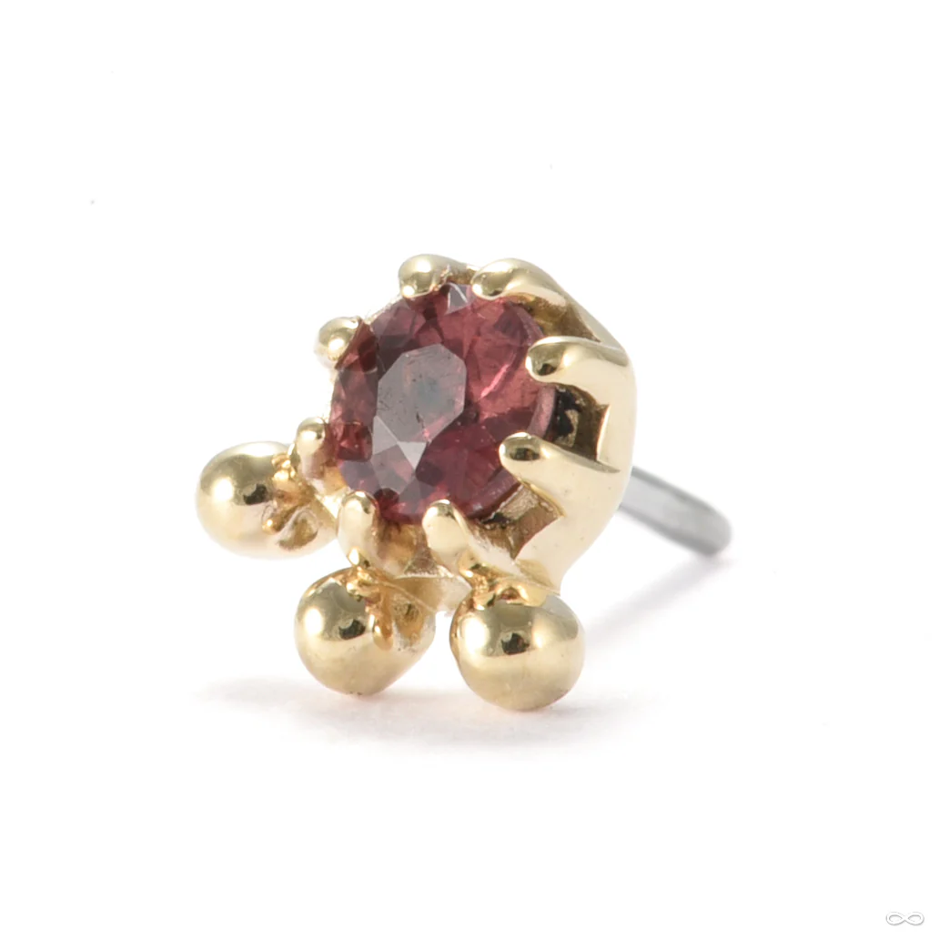 Mime Press-fit End in Gold from Sacred Symbols
