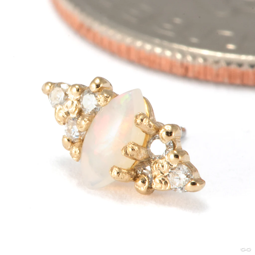 Mimosa Press-fit End in Gold from Tawapa - Image 8