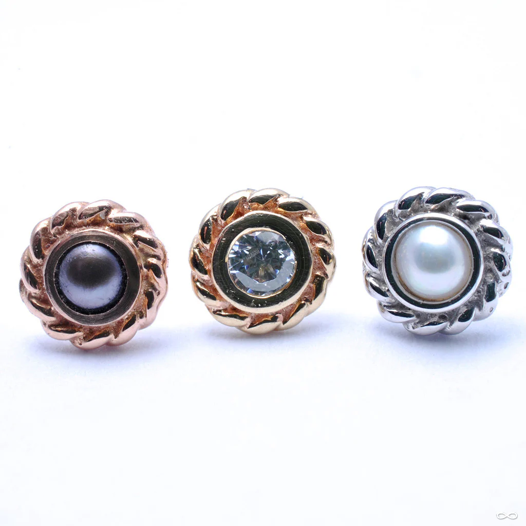 Mini Choctaw Press-fit End in Gold from BVLA - Image 2