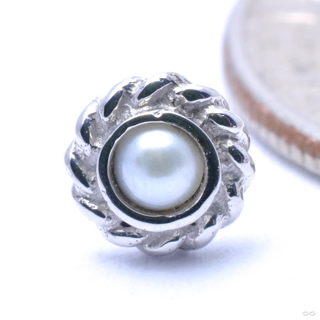 Mini Choctaw Press-fit End in Gold from BVLA - Image 3