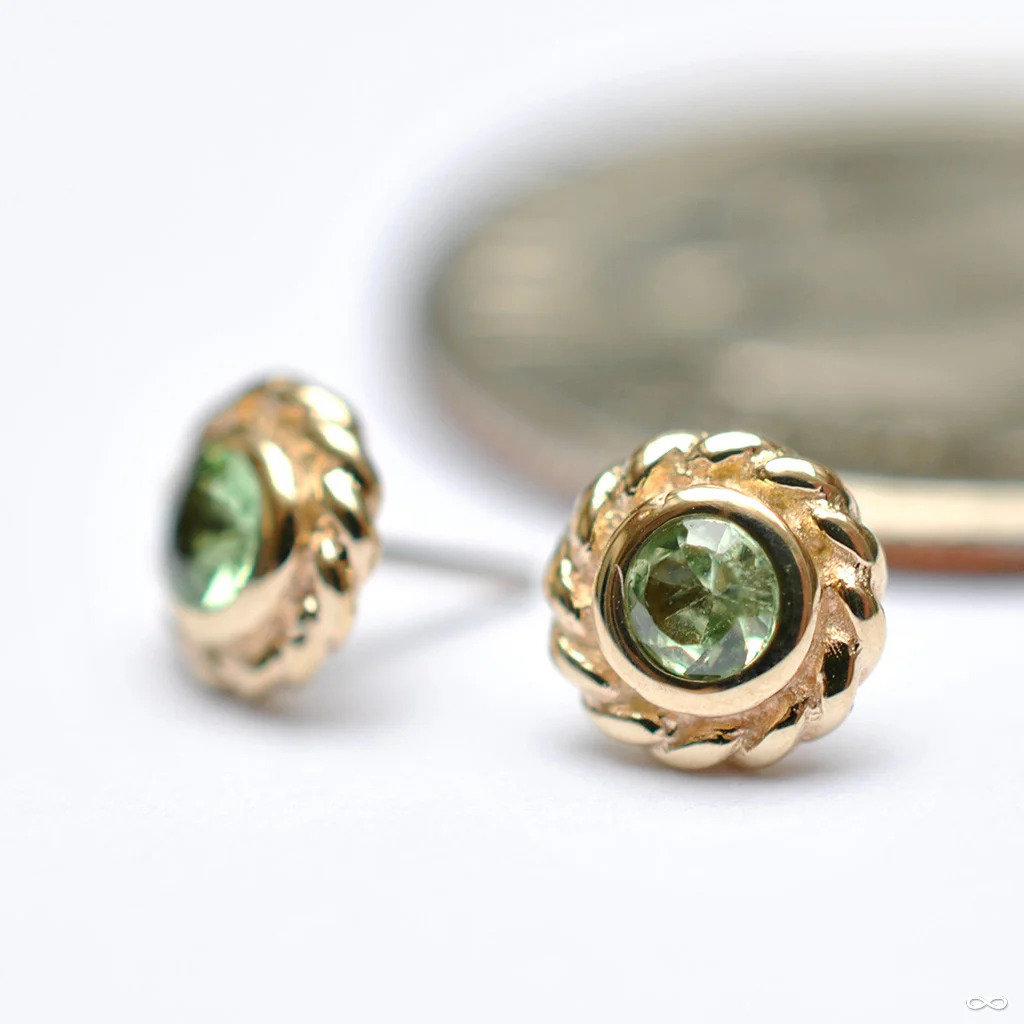 Mini Choctaw Press-fit End in Gold from BVLA - Image 6