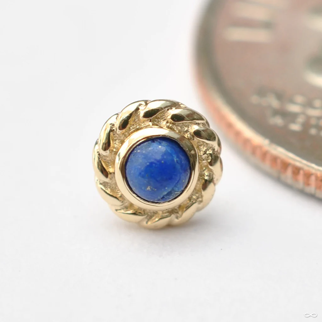 Mini Choctaw Press-fit End in Gold from BVLA - Image 8