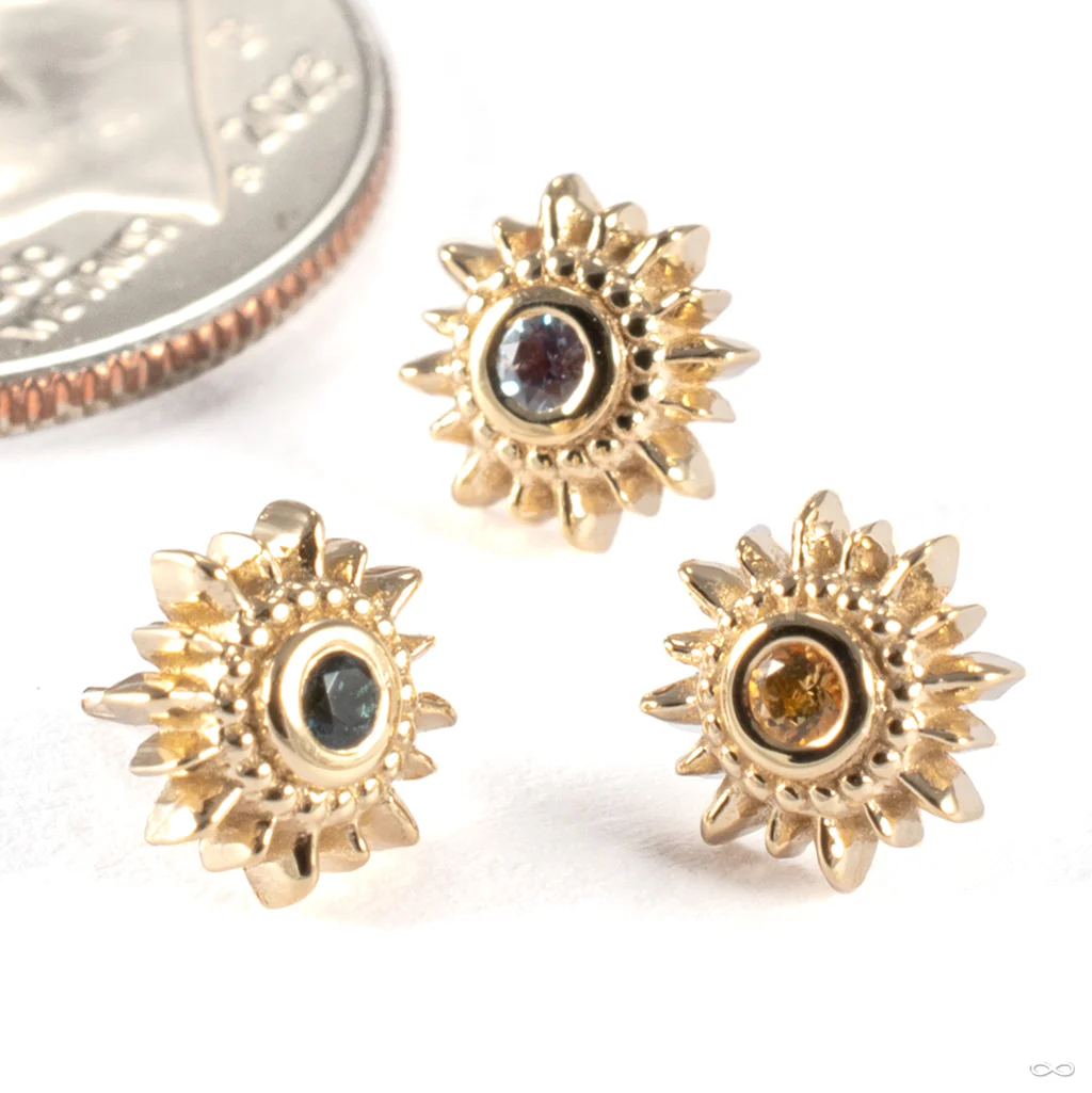 Mini Compass Press-fit End in Gold from BVLA