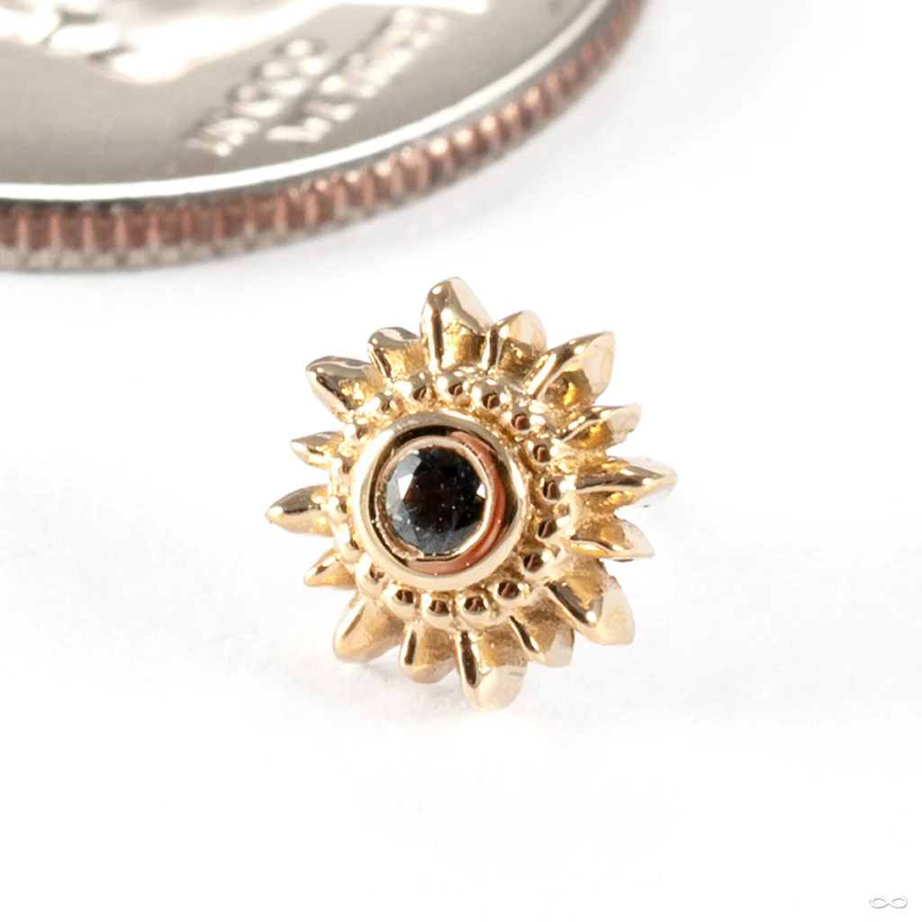 Mini Compass Press-fit End in Gold from BVLA - Image 2