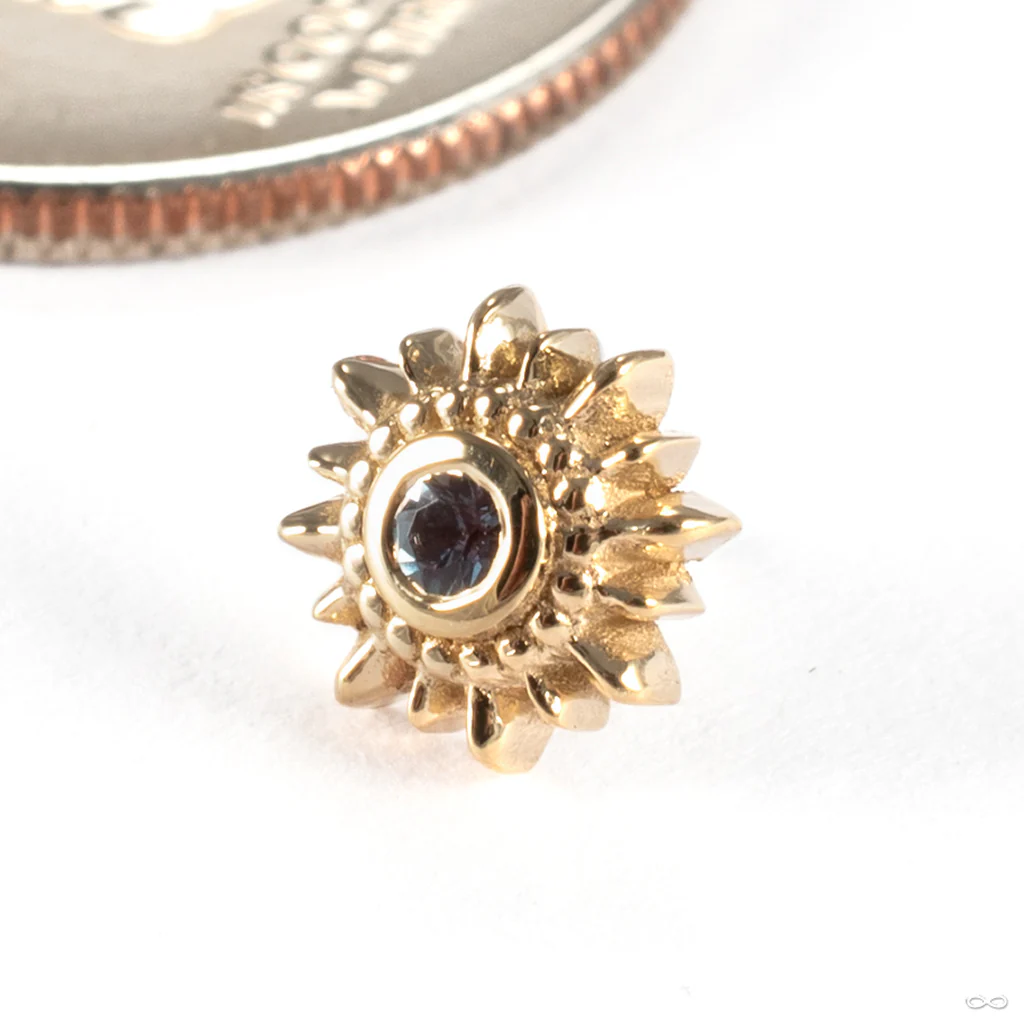 Mini Compass Press-fit End in Gold from BVLA - Image 4