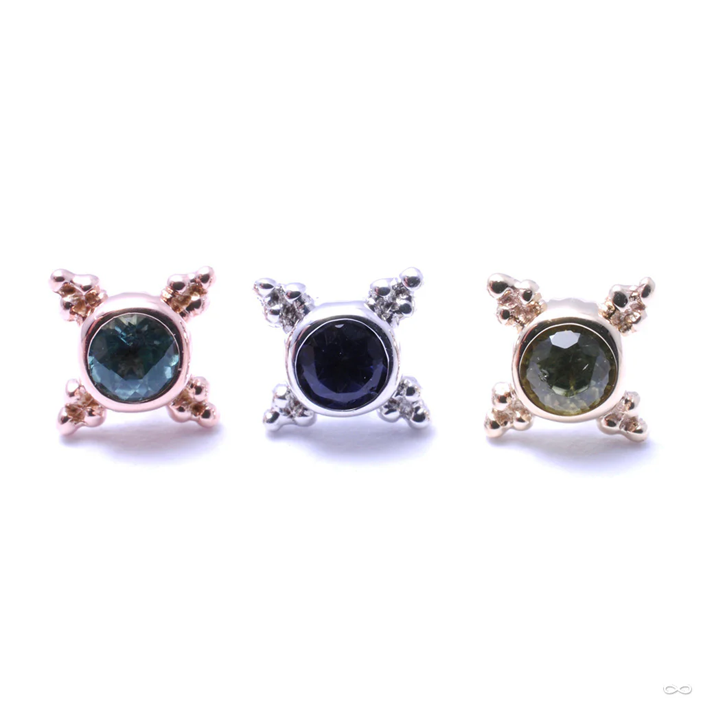 Mini Kandy Press-fit End in Gold from BVLA - Image 3