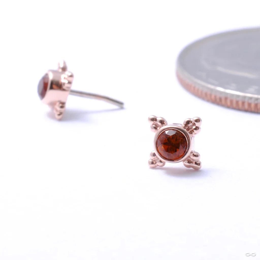 Mini Kandy Press-fit End in Gold from BVLA - Image 4