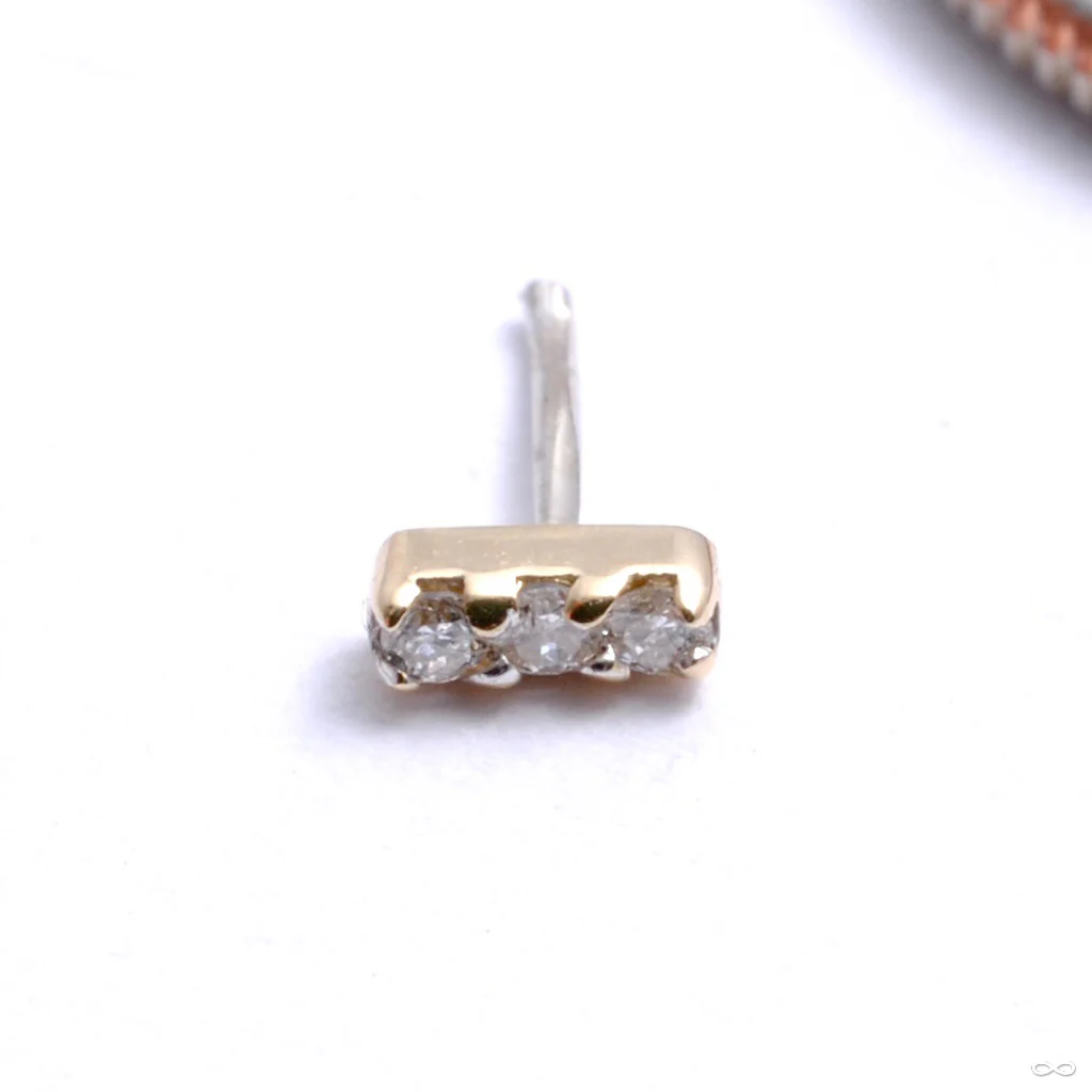 Mini Major Press-fit End in Gold from Pupil Hall - Image 4