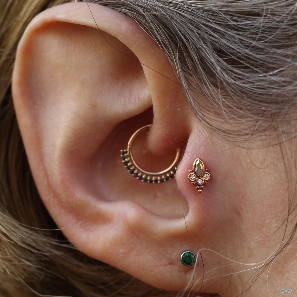Mini Marquise Sarai Press-fit End in Gold from BVLA - Image 19