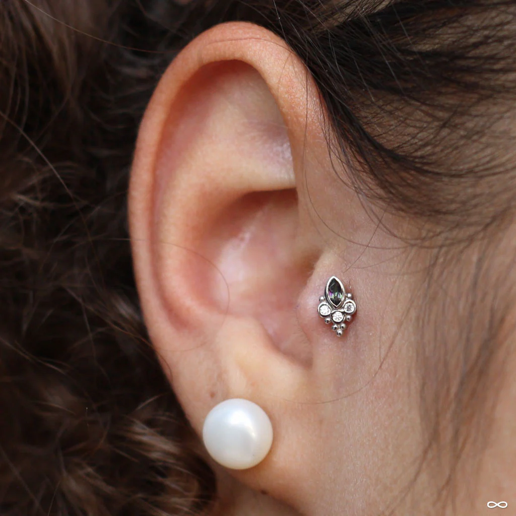 Mini Marquise Sarai Press-fit End in Gold from BVLA - Image 20